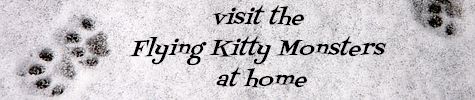 visit the Flying Kitty Monsters at home