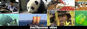 Smithsonian video