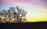 photograph of sunrise