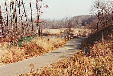photo of trail